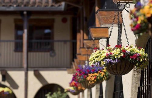 Rutherford Apartment | Top-Rated Boutique Hotel in Napa Valley!