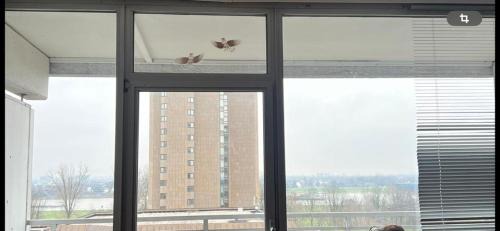 Hammfeld Apartment | Top Rheinblick Apartment Neuss - Düsseldorf