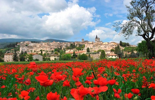 Spello Apartment | Topaz Apt City Center