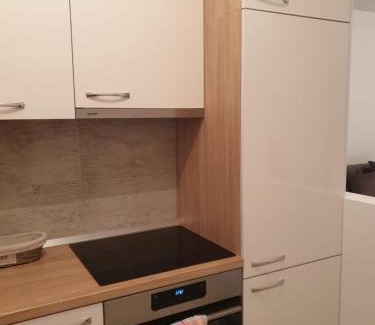 Topla Apartment | ToplibregVilla