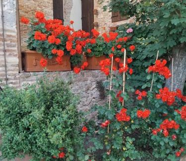 Montepulciano Apartment | Torre alle Antiche Mura