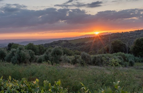 Capraia e Limite Villa | Torre Bensa 4, Emma Villas