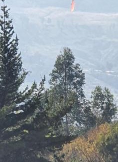 Cochabamba Apartment | Torre Europa