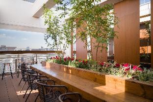 Higashiueno Hotel | Tosei Hotel Cocone Ueno