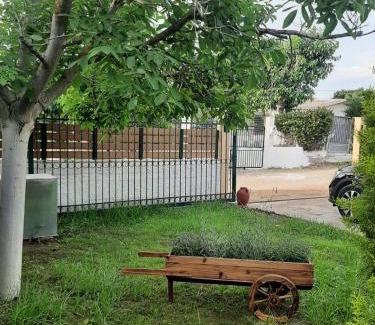 Katakolo House | Tota's Family House