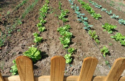 Alhaurin el Grande Cabin | Tottam Art & Healthy Garden