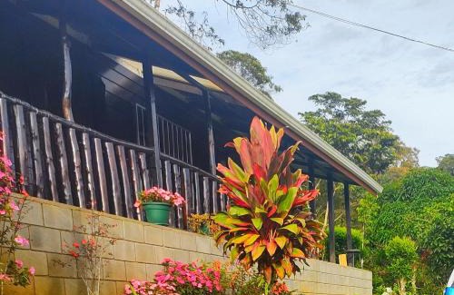 Tayutic Bed & Breakfast | Toucan Mountain Rest