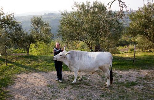 Krkavce Apartment | Tourist Farm Robivera