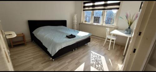 Hogeland House | townhouse at the city