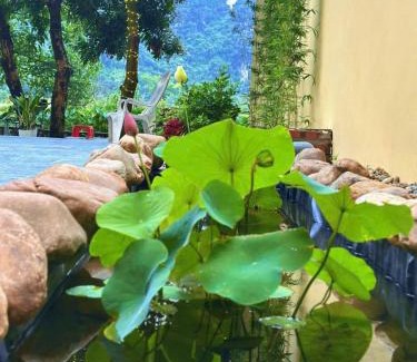 Hoa Lu Hotel | Tràng An Sunny River Homestay