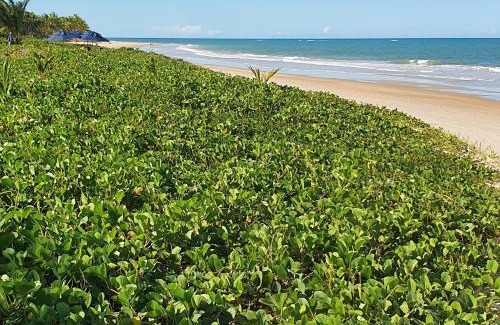 Porto Seguro Villa | Trancoso Terravista Villa Floresta