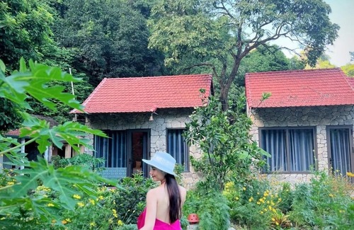 Hoa Lu House | Trang an green river homestay