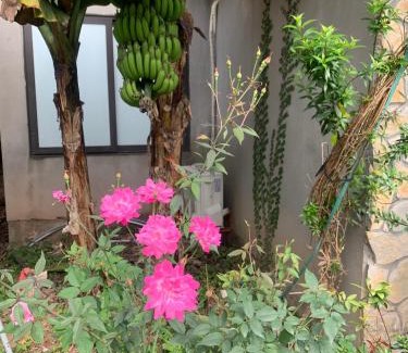 Hoa Lu House | Trang An Peaceful Homestay