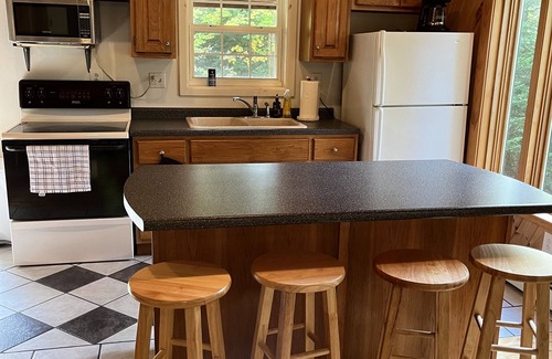 Greenville House | Tranquil cabin in the woods with heated garage.