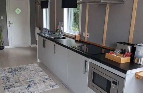 Llanfair Caereinion Cabin | Tranquil Cabin Retreat in Welshpool