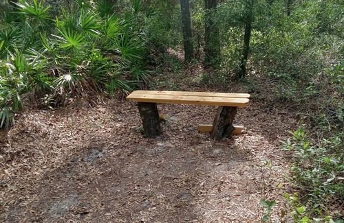 Chiefland RV Rental | Tranquil campground with WiFi in charming Chiefland