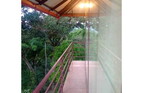 Madikeri House | Tranquil Glass House By Coorg Tree House