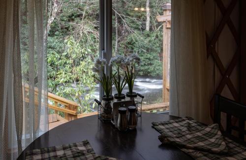Topton Villa | Tranquil Haven Luxy Yurt - Creekside Glamping with Private Hot Tub
