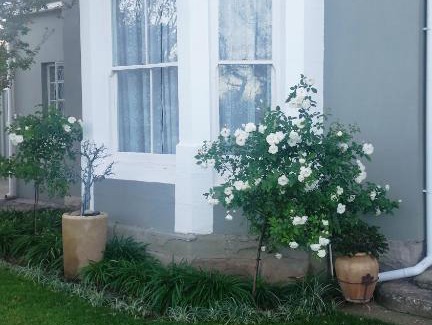 Komani House | Tranquil House B&B 10 Berry St