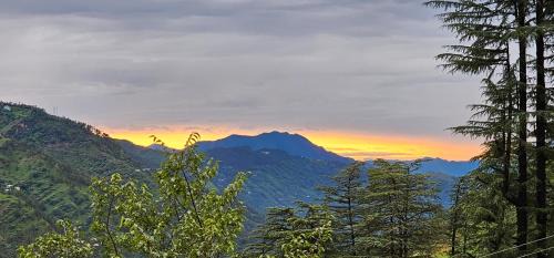 Shimla Hotel | Tranquil Inn Mashobra