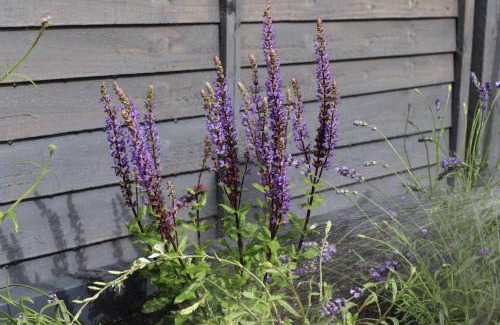 Summertown Apartment | Tranquil Little Hide-Away in Oxford with Private Garden