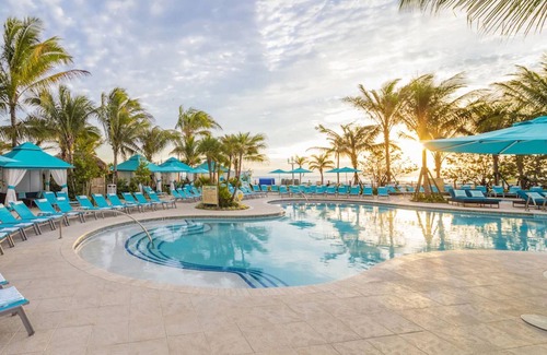 Hollywood Hotel | Tranquil Room Perfect for a Relaxing Florida Getaway | Pet-Friendly Retreat