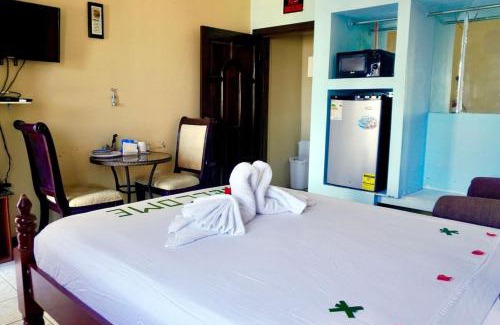 Belize City Apartment | TRANQUIL Sea View Studio with Balcony, Infinity POOL, Overwater Deck & Kitchenette, 2nd Floor