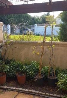 Somerset West Apartment | Tranquility Studio Apartment