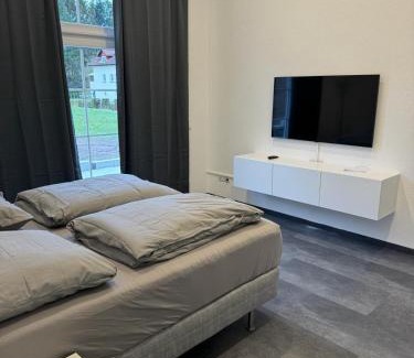 Reichenbach-Steegen Apartment | Traumhafte Wohnung 4 Albersbach