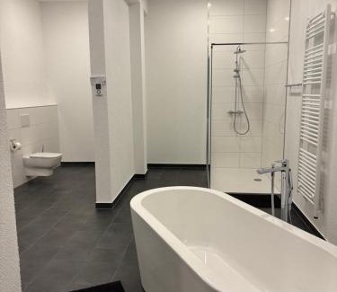 Reichenbach-Steegen Apartment | Traumhafte Wohnung 4 Albersbach