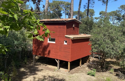 Lacanau Cabin | Traumhaftes Holzhaus auf Stelzen am Lac de Lacanau. Erholung und Natur pur