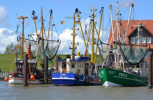 Butjadingen House | Traumhaus mit Platz für 20 Personen an der Nordsee