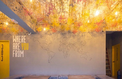 Tanah Rata Hostel | Traveller Bunker Hostel 1