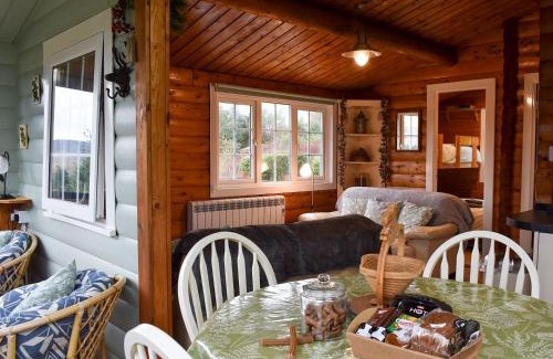 Bronaber House | Trawsfynydd Cabin