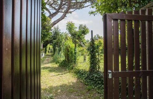 Procida House | TRE PINI
