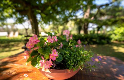 Senigallia Bed & Breakfast | Trecentolivi B&b