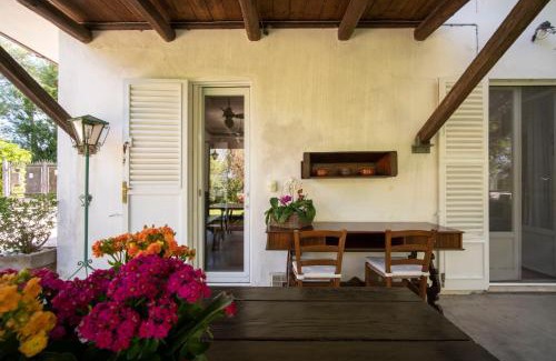 Senigallia Bed & Breakfast | Trecentolivi B&b