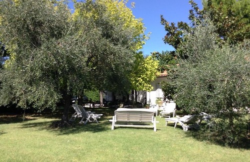 Senigallia Bed & Breakfast | Trecentolivi B&b