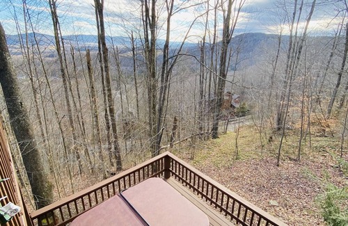 Davis House | Tree House, Hot Tub, Cozy ,Wifi, Secluded, Serene,View, Central Location