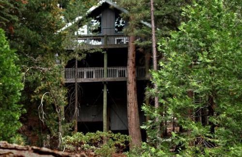 Yosemite West House | Tree House Lodge