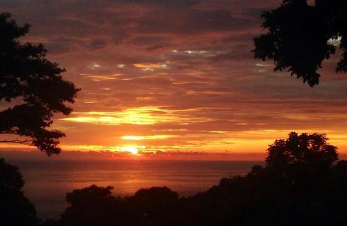 Dominical Bed & Breakfast | Tree of Life Cabinas