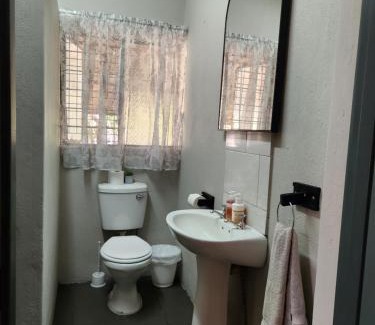 Polokwane Apartment | Tree Orchid
