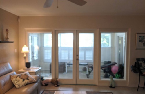 Clearwater Villa | Tree Top Charming villa with 2 bedrooms and WiFi, AC in marvelous Clearwater