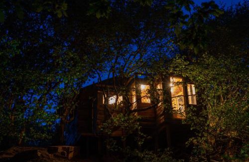 Abergele House | Treehouse Cabin Wilderness Escape