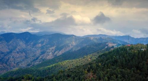 Shimla Resort | TreeHouse Chail Villas
