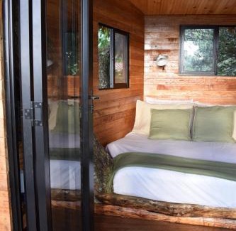 El Cerrito House | Treehouse