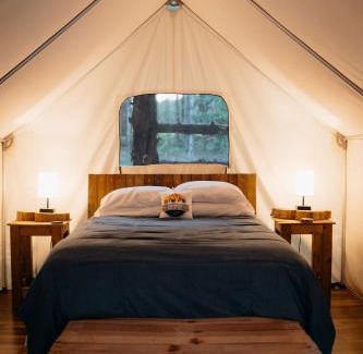 Branson Other | Treehouse Cozy Glamping Site