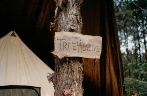 Branson Other | Treehouse Cozy Glamping Site