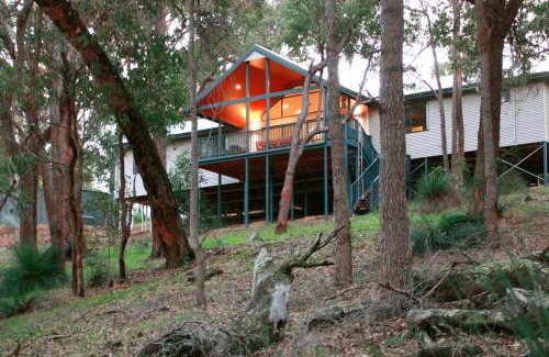 Quindalup House | Treehouse-elevated nature setting, kids TV room