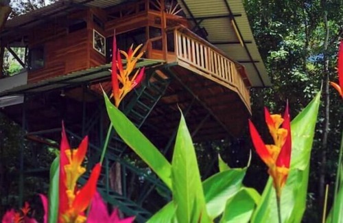 Jaco House | Treehouse with butterfly and exotic fruit farm